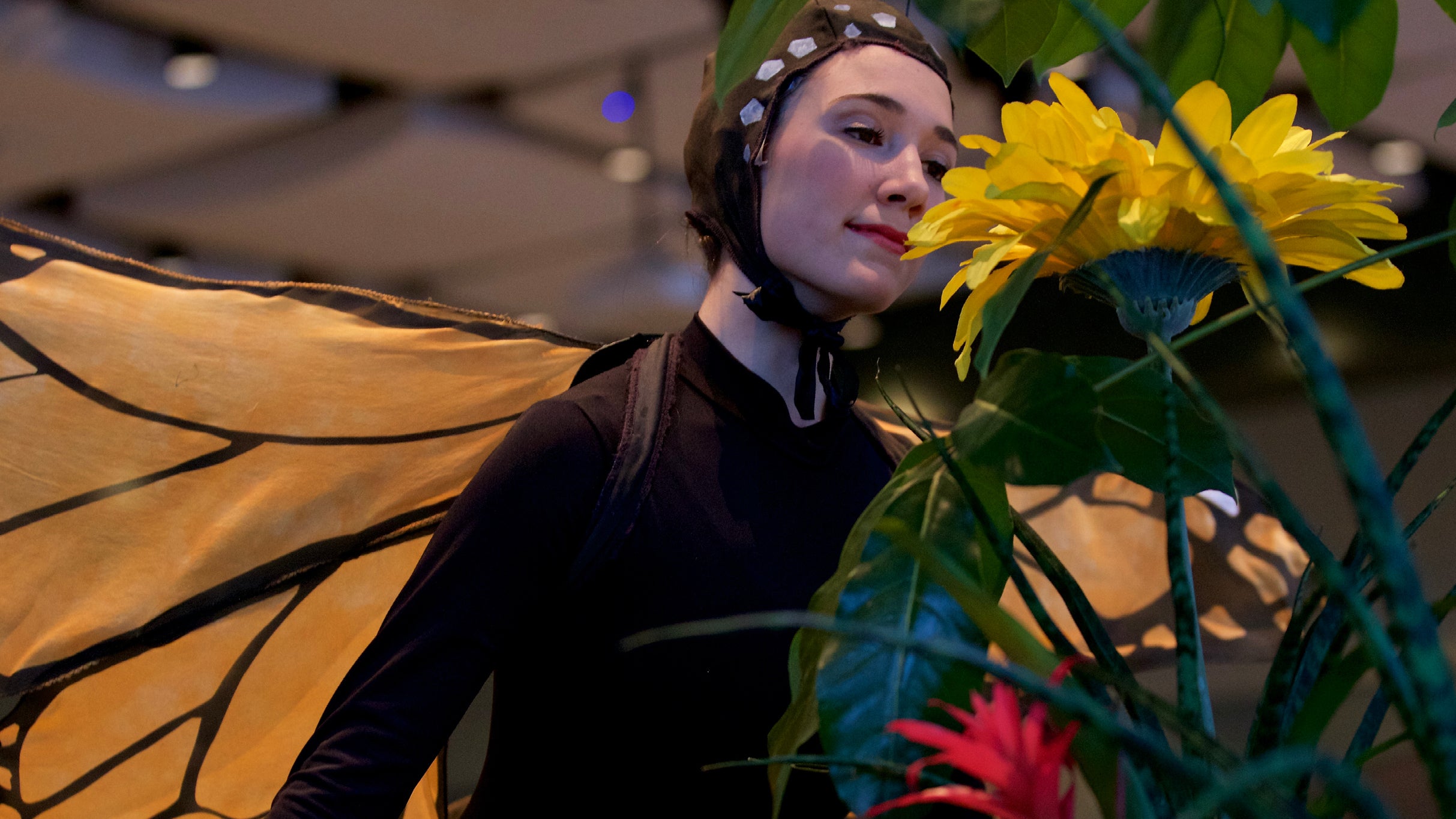 The Wizard of Oz - Ballet 2026